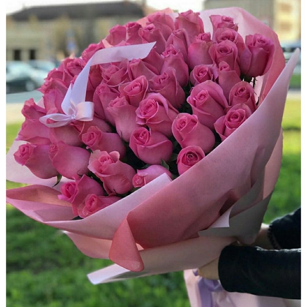 Meet your Posher, Koko